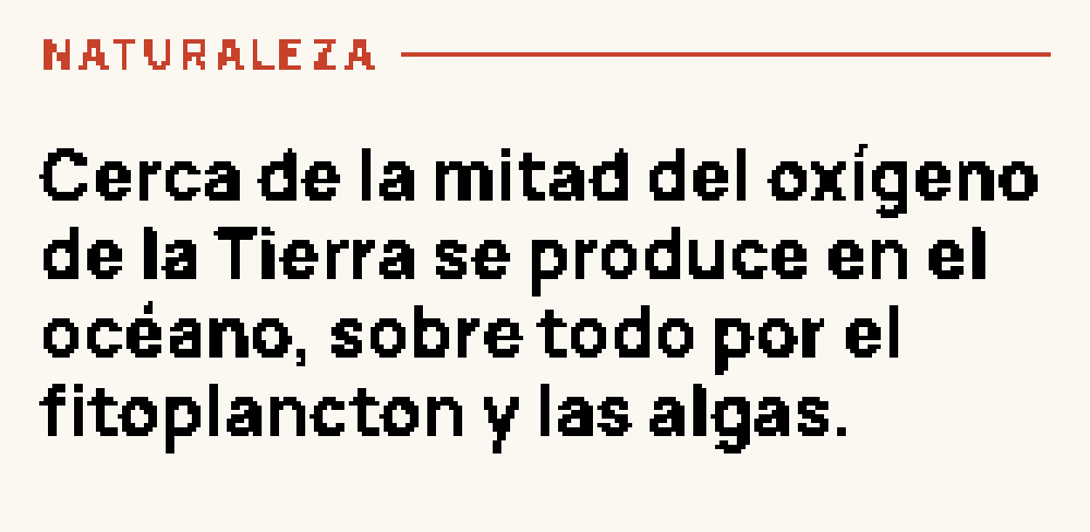 Cara Dato del día: una curiosidad corta y verificada con la etiqueta del área en rojo