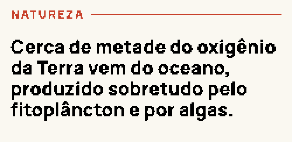 Face Fato do dia: uma curiosidade curta e verificada com o rótulo da área em vermelho
